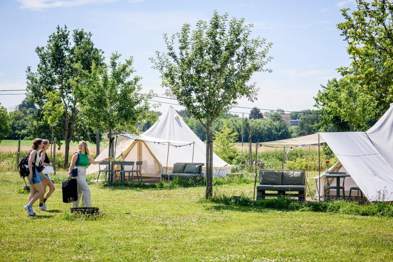 Pluimpapaver Hotel & Glamping Aarschot Kültér fotó